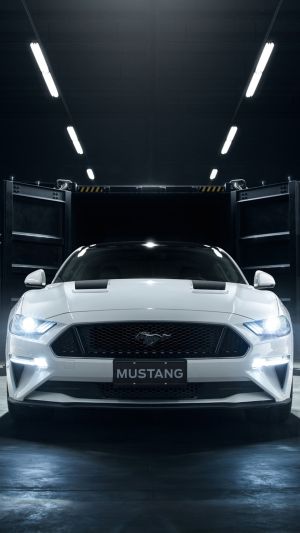 Wallpaper